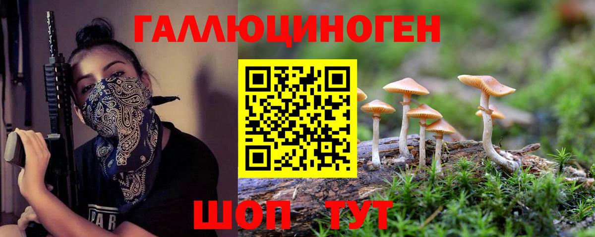 Сердобск  Псилоцибиновые грибы Cubensis  Вход с VPN 