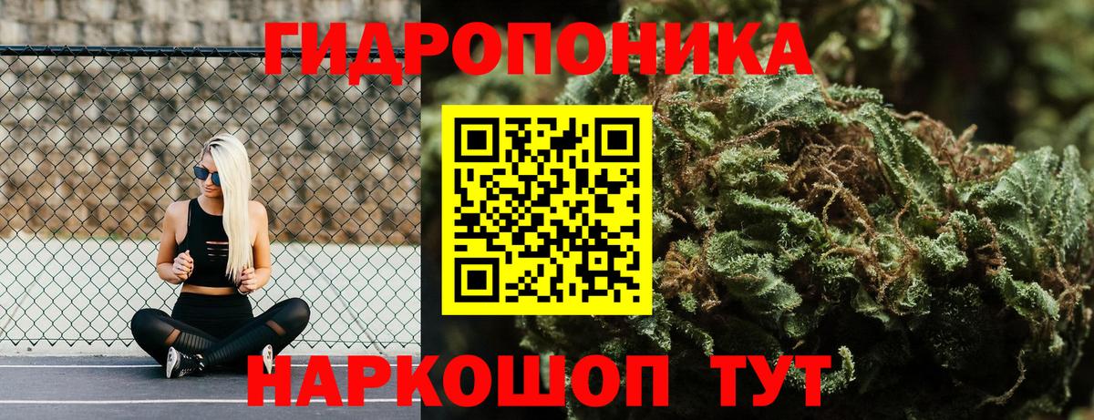Бошки Шишки VHQ Сердобск